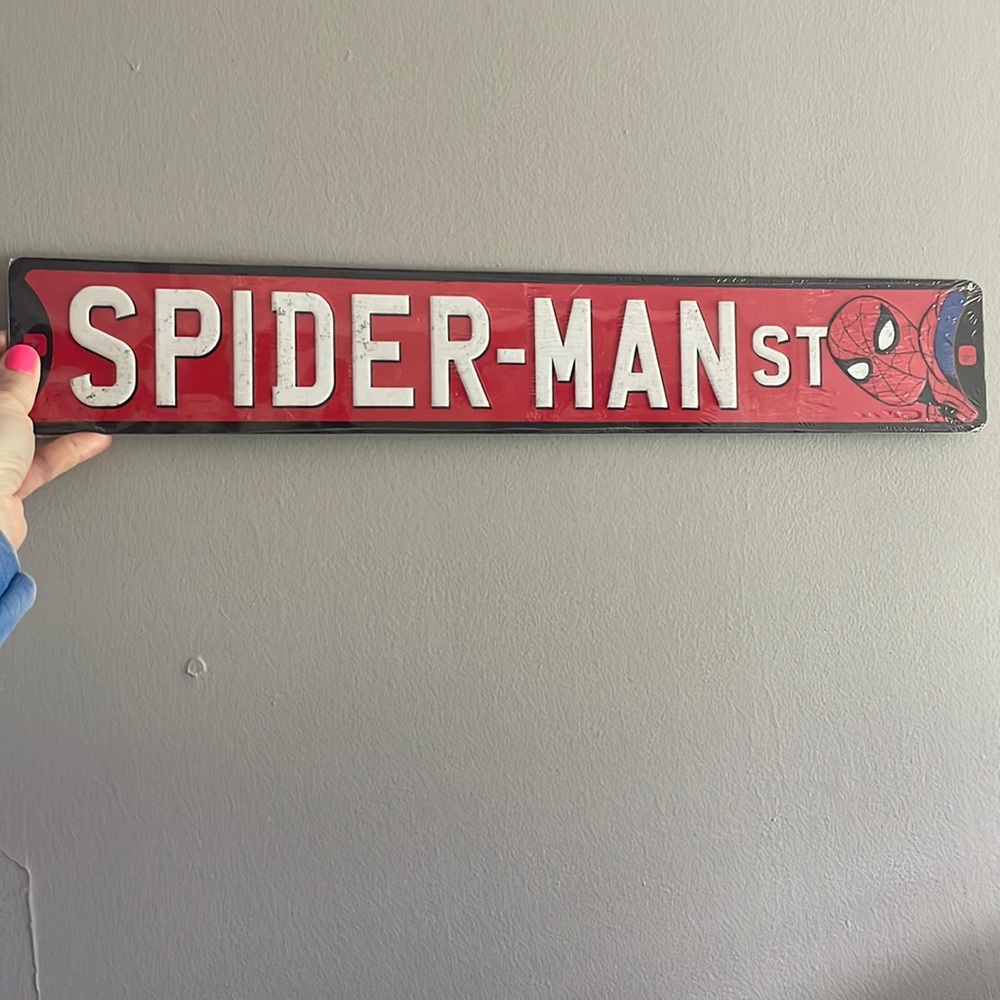 Spider-Man wall decor